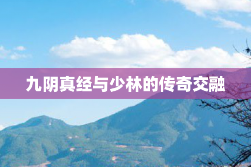 九阴真经与少林的传奇交融 九阴真经与少林的传奇交融