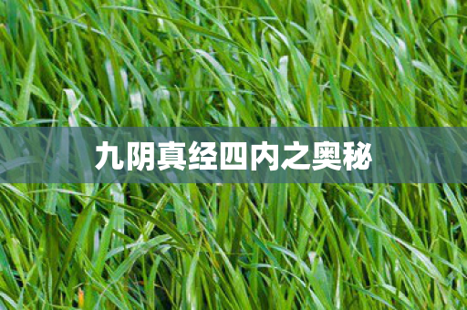 九阴真经四内之奥秘 九阴真经四内之奥秘