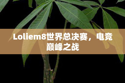 Loliem8世界总决赛,电竞巅峰之战 Loliem8世界总决赛,电竞巅峰之战