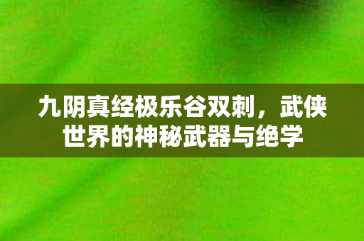 九阴真经极乐谷双刺，武侠世界的神秘武器与绝学