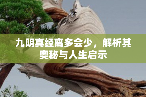九阴真经离多会少，解析其奥秘与人生启示