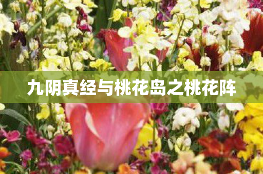 九阴真经与桃花岛之桃花阵
