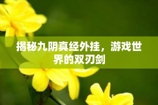 揭秘九阴真经外挂，游戏世界的双刃剑