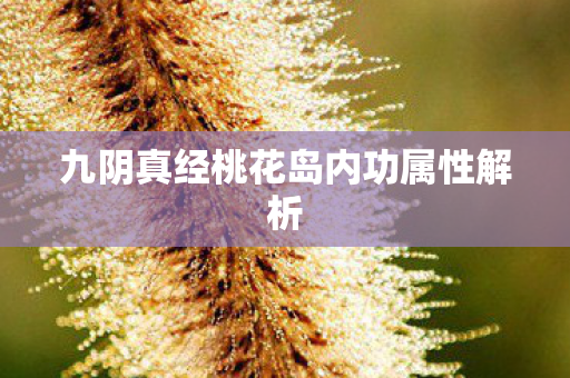 九阴真经桃花岛内功属性解析