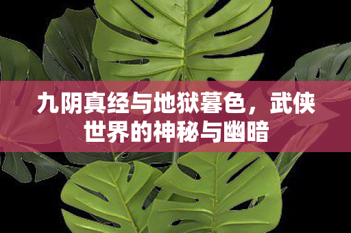 九阴真经与地狱暮色，武侠世界的神秘与幽暗
