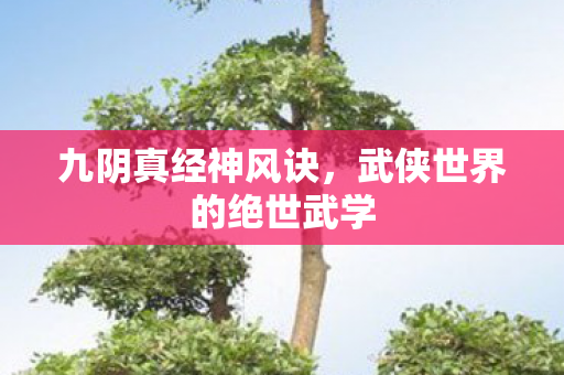 九阴真经神风诀，武侠世界的绝世武学