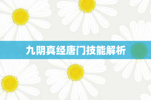 九阴真经唐门技能解析