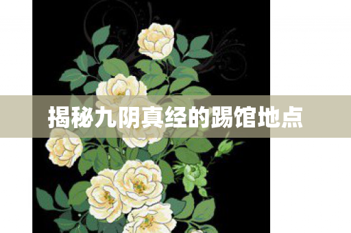 揭秘九阴真经的踢馆地点 揭秘九阴真经的踢馆地点