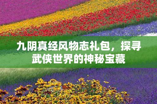 九阴真经风物志礼包,探寻武侠世界的神秘宝藏 九阴真经风物志礼包,探寻武侠世界的神秘宝藏