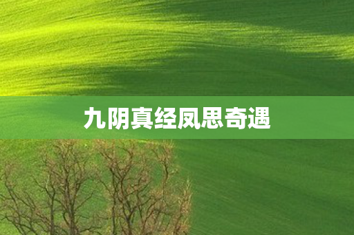 九阴真经凤思奇遇 九阴真经凤思奇遇