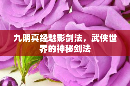 九阴真经魅影剑法，武侠世界的神秘剑法