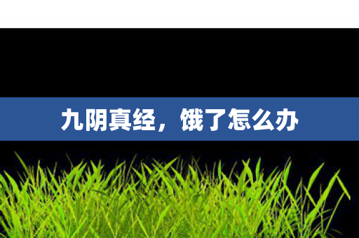 九阴真经,饿了怎么办 九阴真经,饿了怎么办