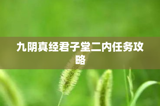 九阴真经君子堂二内任务攻略