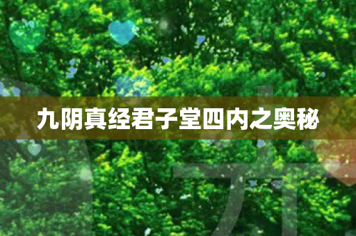 九阴真经君子堂四内之奥秘 九阴真经君子堂四内之奥秘