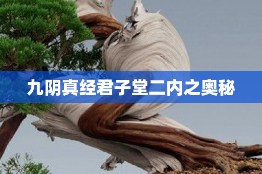 九阴真经君子堂二内之奥秘