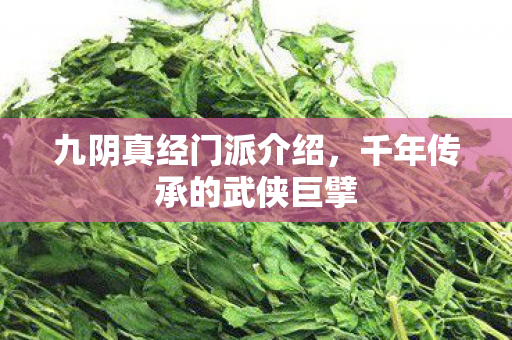九阴真经门派介绍,千年传承的武侠巨擘 九阴真经门派介绍,千年传承的武侠巨擘