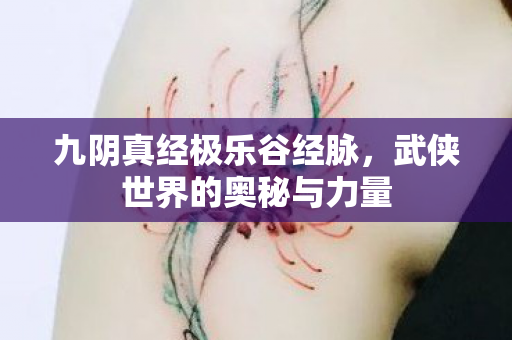 九阴真经极乐谷经脉，武侠世界的奥秘与力量