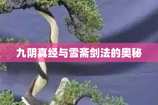 九阴真经与雪斋剑法的奥秘