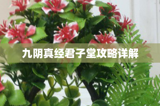 九阴真经君子堂攻略详解