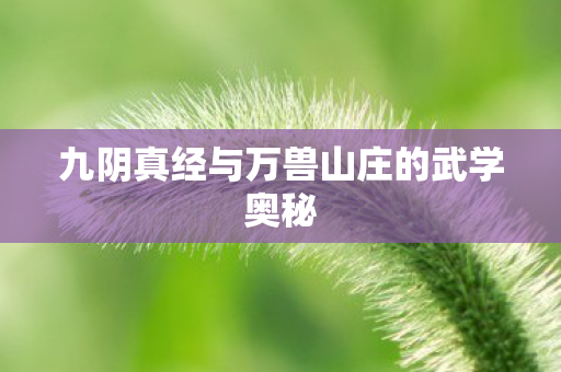 九阴真经与万兽山庄的武学奥秘