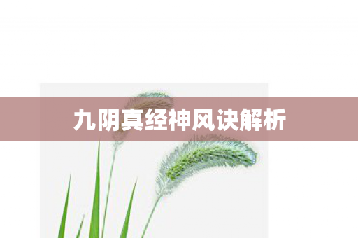 九阴真经神风诀解析