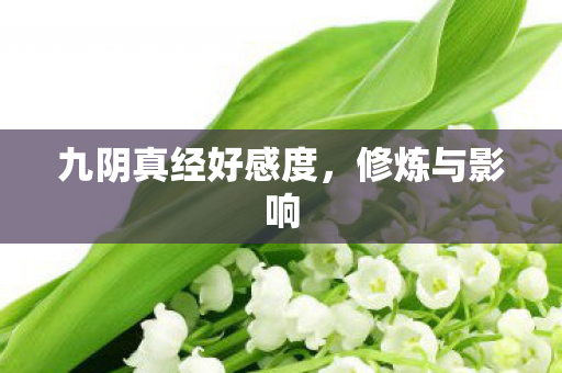 九阴真经好感度，修炼与影响