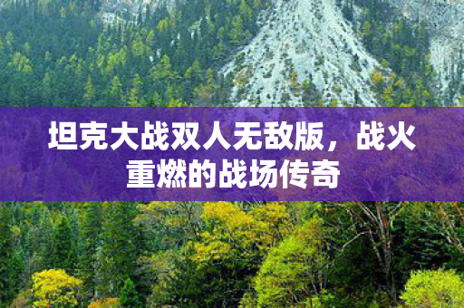 坦克大战双人无敌版,战火重燃的战场传奇 坦克大战双人无敌版,战火重燃的战场传奇