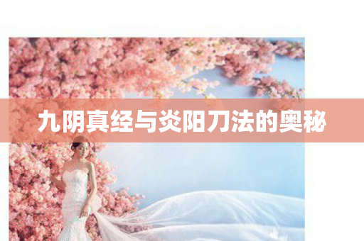九阴真经与炎阳刀法的奥秘