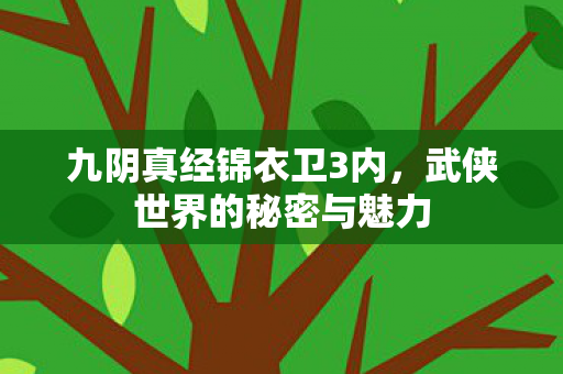 九阴真经锦衣卫3内，武侠世界的秘密与魅力