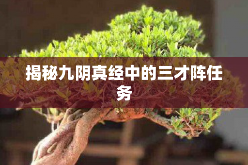 揭秘九阴真经中的三才阵任务