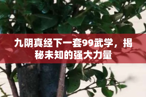 九阴真经下一套99武学，揭秘未知的强大力量