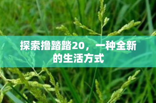 探索撸踏踏20，一种全新的生活方式