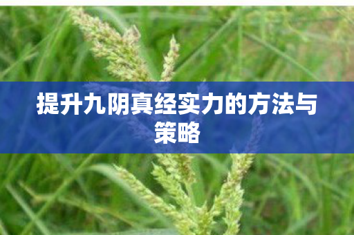 提升九阴真经实力的方法与策略