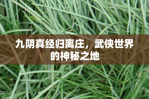九阴真经归离庄，武侠世界的神秘之地