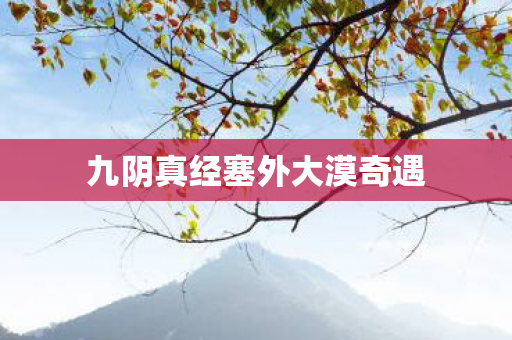 九阴真经塞外大漠奇遇