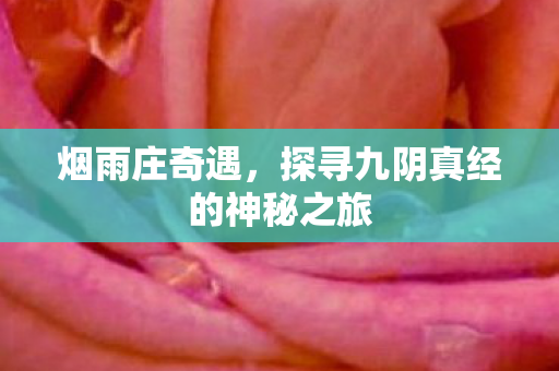 烟雨庄奇遇,探寻九阴真经的神秘之旅 烟雨庄奇遇,探寻九阴真经的神秘之旅