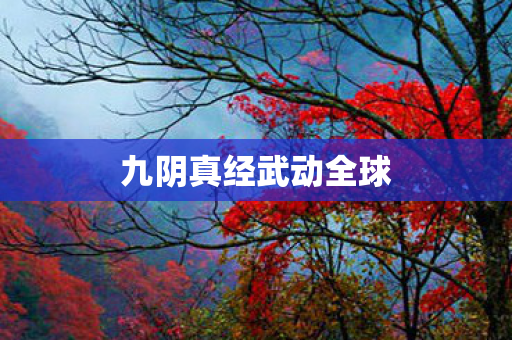 九阴真经武动全球 九阴真经武动全球
