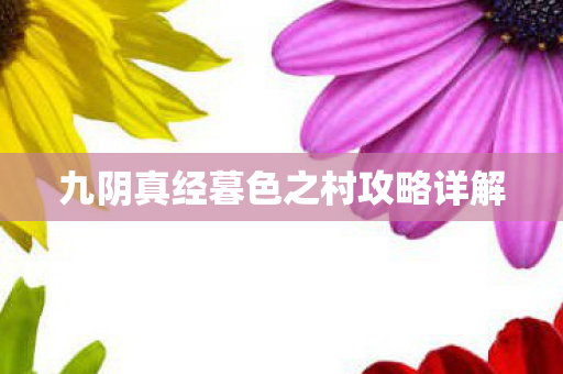 九阴真经暮色之村攻略详解