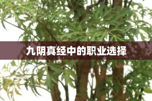 九阴真经中的职业选择