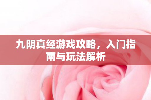九阴真经游戏攻略，入门指南与玩法解析