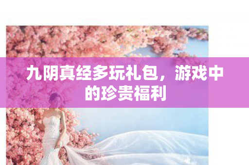 九阴真经多玩礼包，游戏中的珍贵福利