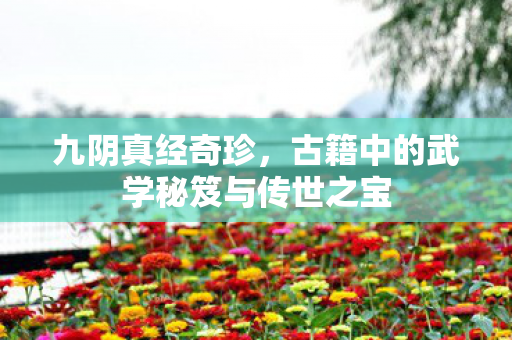 九阴真经奇珍，古籍中的武学秘笈与传世之宝