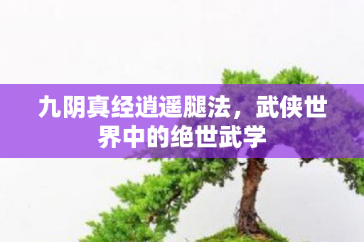 九阴真经逍遥腿法，武侠世界中的绝世武学