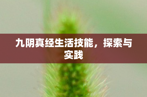 九阴真经生活技能，探索与实践