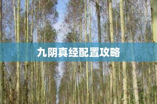 九阴真经配置攻略