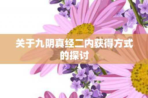 关于九阴真经二内获得方式的探讨