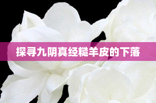 探寻九阴真经糙羊皮的下落