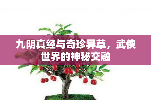 九阴真经与奇珍异草，武侠世界的神秘交融