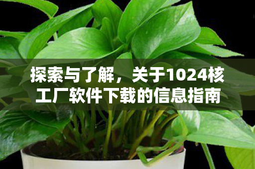 探索与了解，关于1024核工厂软件下载的信息指南