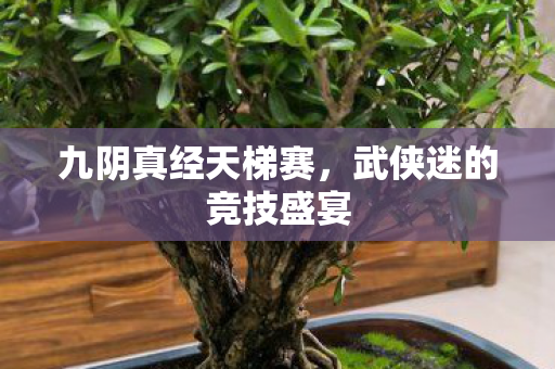 九阴真经天梯赛，武侠迷的竞技盛宴